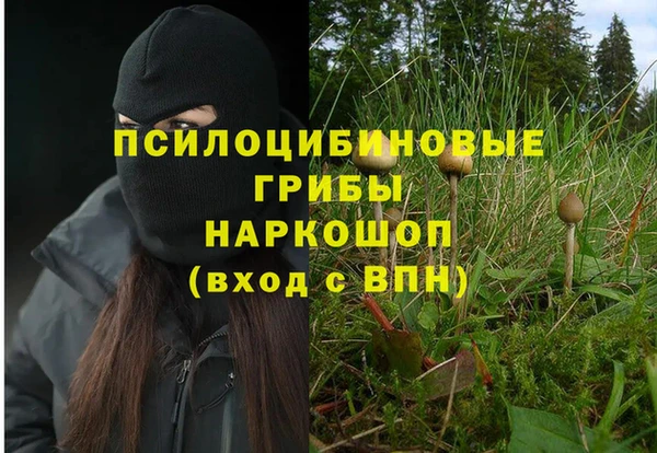 2c-b Балахна