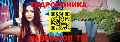 spice Кимры