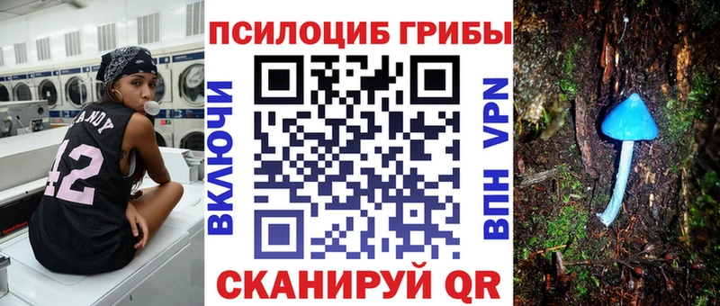 Галлюциногенные грибы Psilocybe  Кувандык 